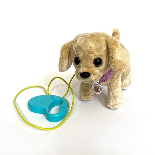 Baby born lucky - baby, dog