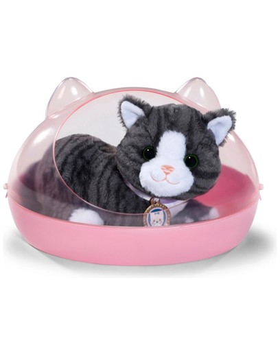 Baby born cat cookie - baby,